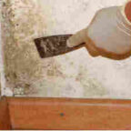 Как убрать плесень в углу комнаты без химии