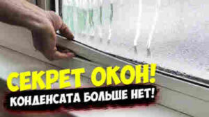 Ремонт и строительство | Как избежать появления конденсата на окнах зимой